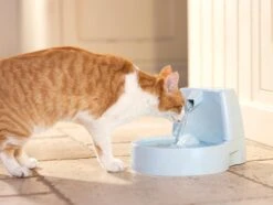 Petsafe Drinkwell Platinum - Drinkfontein - 5 L -Kattenbenodigdheden 1200x905 3
