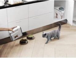 Curver Voercontainer Kat - 6 L -Kattenbenodigdheden 1200x910 3