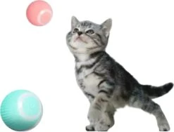 Merkloos EYSS Slimme Bal / Huisdier Speelgoedbal / Kattenspeeltje / Zelfrollende Kattenbal / Smart Rollende Bal / Oplaadbare Speeltje Voor Poesjes /Katten -Kattenbenodigdheden 1200x915 2