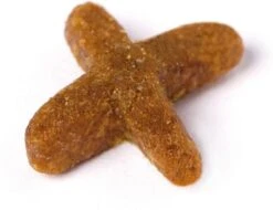 Prins VitalCare Indoor 5 Kg - Kat -Kattenbenodigdheden 1200x922