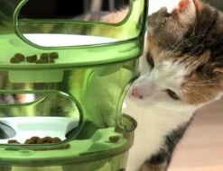 Cat-It Senses 2.0 Food Tree - Wit/Groen - Voerbak - Ø 35 Cm 15 Cat-It Senses 2.0 Food Tree - Wit/Groen - Voerbak - Ø 35 Cm -Kattenbenodigdheden 1200x923 1