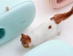 MakeSure Kattenbak Met Lade - Groen - 60 X 38 X 45 Cm - Design 31 MakeSure Kattenbak Met Lade - Groen - 60 X 38 X 45 Cm - Design -Kattenbenodigdheden 1200x927