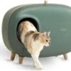 MakeSure Kattenbak Met Lade - Groen - 60 X 38 X 45 Cm - Design 2 MakeSure Kattenbak Met Lade - Groen - 60 X 38 X 45 Cm - Design -Kattenbenodigdheden 1200x929 1