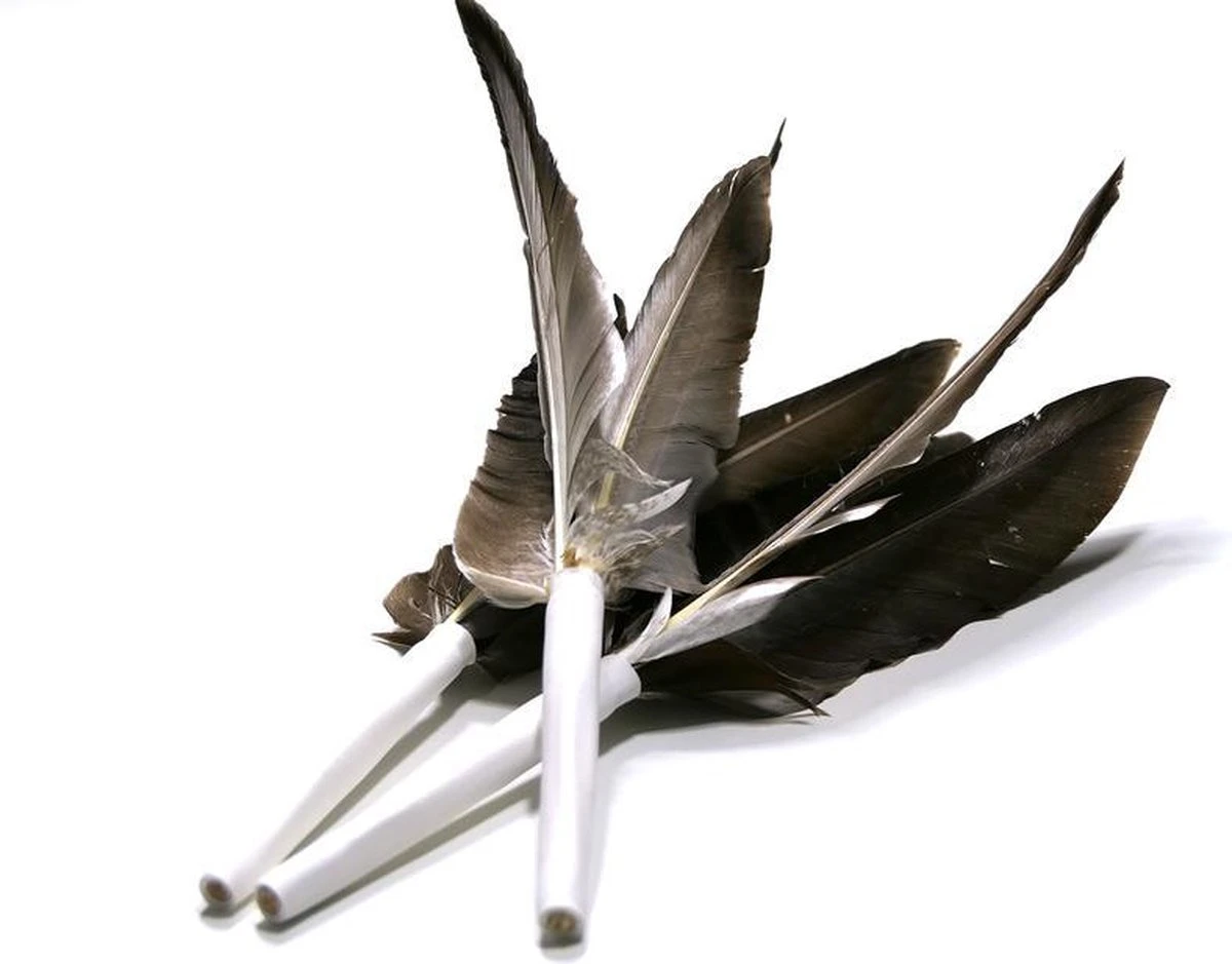 Tabby Tijger Happy After - Kattenspeelgoed - Beloningsspeeltje - Veren 3 Tabby Tijger Happy After - Kattenspeelgoed - Beloningsspeeltje - Veren