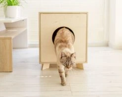 Catandwood Kattenhuis - Kattenbakcontainer - Kattenbak Ombouw - Hout -Kattenbenodigdheden 1200x959 2