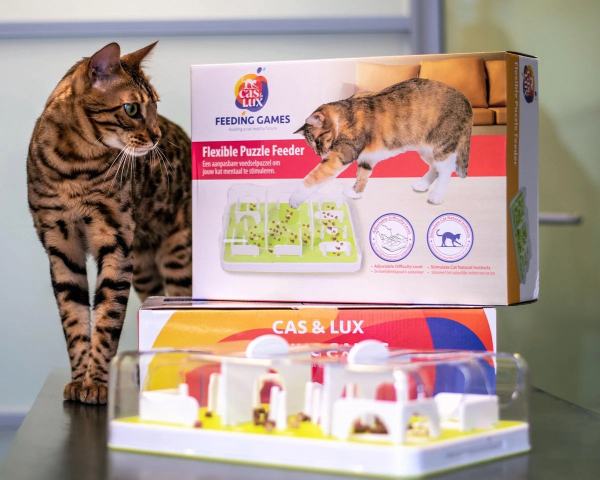 Cas & Lux Modulaire Puzzel Voederbak Voor Katten - Anti Schrokbak Kat - Inclusief 3 Verschillende Standen - Stijlvol Design - Voerpuzzel Kat - Slowfeeder - Kattenspeeltjes - Puzzel Kat - Anti Schrok 4 Cas & Lux Modulaire Puzzel Voederbak Voor Katten - Anti Schrokbak Kat - Inclusief 3 Verschillende Standen - Stijlvol Design - Voerpuzzel Kat - Slowfeeder - Kattenspeeltjes - Puzzel Kat - Anti Schrok - Afbeelding 2