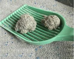 Merkloos Pet-Earth Golden Grey Master - Kattenbakvulling - Perfecte Klontvorming - 2 X 14 Kg 7 Merkloos Pet-Earth Golden Grey Master - Kattenbakvulling - Perfecte Klontvorming - 2 X 14 Kg -Kattenbenodigdheden 1200x968 1