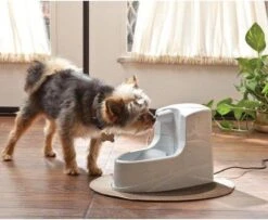 Petsafe Drinkwell Platinum - Drinkfontein - 5 L -Kattenbenodigdheden 1200x986 1