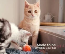 Cheerble Mini Ball 2.0 - Slimme Interactieve Zelf Rollende Bal Voor Katten - 3 Speelmodi - Kattenspeeltjes - USB Oplaadbaar - Rood 18 Cheerble Mini Ball 2.0 - Slimme Interactieve Zelf Rollende Bal Voor Katten - 3 Speelmodi - Kattenspeeltjes - USB Oplaadbaar - Rood -Kattenbenodigdheden 1200x994 1