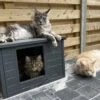 RHRQuality Kattenhuis Voor Binnen En Buiten Kattenhok Villa De Luxe Grijs -Kattenbenodigdheden 1200x996 1