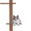 Merkloos Krabpaal In Hoogte Verstelbaar - Kattenkrabpaal - Krabpaal Voor Katten - Kattenspeeltjes - Katten - Bruin - 43L X 27B X 228-260H Cm -Kattenbenodigdheden 366x1200