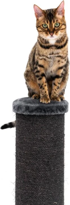 Petrebels Savannah 86 Krabpaal - Pepper - 20 Cm Stam - Zwaar En Stabiel -Kattenbenodigdheden 412x1200 1