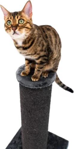 Petrebels Savannah 86 Krabpaal - Pepper - 20 Cm Stam - Zwaar En Stabiel -Kattenbenodigdheden 596x1200 2