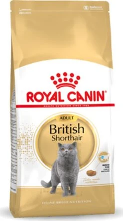 Royal Canin British Shorthair Adult - Kattenvoer - 4 Kg 23 Royal Canin British Shorthair Adult - Kattenvoer - 4 Kg -Kattenbenodigdheden 668x1200 3