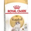 Royal Canin Ragdoll Adult - Kattenvoer - 2 Kg 1 Royal Canin Ragdoll Adult - Kattenvoer - 2 Kg -Kattenbenodigdheden 690x1200