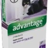 Advantage 80 Vlooiendruppelsl Kat Vanaf 4 Kg - 4 Pipetten -Kattenbenodigdheden 701x1200