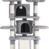 Nancy's XXL Krabpaal Voor Katten - Kattenboom - Grijs - 60 X 55 X 172 Cm 2 Nancy's XXL Krabpaal Voor Katten - Kattenboom - Grijs - 60 X 55 X 172 Cm -Kattenbenodigdheden 710x1200