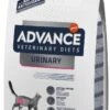 Advance Kat Veterinary Diet Urinary Care - Kattenvoer - 3 Kg - Blaasgruis 1 Advance Kat Veterinary Diet Urinary Care - Kattenvoer - 3 Kg - Blaasgruis -Kattenbenodigdheden 711x1200