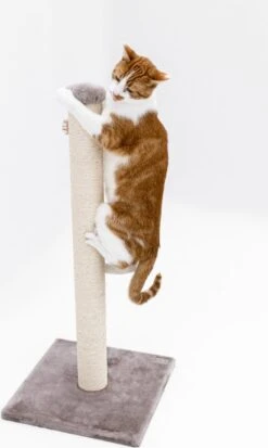 Petrebels Maine 90 Krabpaal - Cappuccino - 40 X 40 X 90 Cm - Extra Stabiel -Kattenbenodigdheden 717x1200