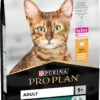 Pro Plan Adult Renal Plus - Katten Droogvoer - Kip - 10 Kg 2 Pro Plan Adult Renal Plus - Katten Droogvoer - Kip - 10 Kg -Kattenbenodigdheden 725x1200
