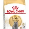 Royal Canin British Shorthair Adult - Kattenvoer - 4 Kg 1 Royal Canin British Shorthair Adult - Kattenvoer - 4 Kg -Kattenbenodigdheden 729x1200 4