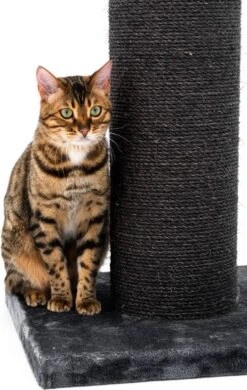 Petrebels Savannah 86 Krabpaal - Pepper - 20 Cm Stam - Zwaar En Stabiel -Kattenbenodigdheden 760x1200