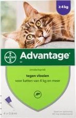 Advantage 80 Vlooiendruppelsl Kat Vanaf 4 Kg - 4 Pipetten 9 Advantage 80 Vlooiendruppelsl Kat Vanaf 4 Kg - 4 Pipetten -Kattenbenodigdheden 773x1200