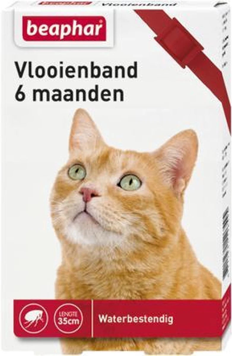 Beaphar Vlooienband Kat - Rood - 1 Stuk 4 Beaphar Vlooienband Kat - Rood - 1 Stuk - Afbeelding 2