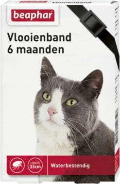 Kattenbenodigdheden 24 Beaphar Vlooienband Kat - Vlooienbestrijding - Zwart