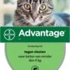 Bayer Advantage 40 Tegen Vlooien - <4kg - 4 X 0,4 Ml - Adult 2 Bayer Advantage 40 Tegen Vlooien - <4kg - 4 X 0,4 Ml - Adult -Kattenbenodigdheden 786x1200