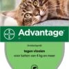 Bayer Anti Vlooienmiddel Advantage 80 > 4 Kg - 4 X 0,8 Ml 2 Bayer Anti Vlooienmiddel Advantage 80 > 4 Kg - 4 X 0,8 Ml -Kattenbenodigdheden 788x1200