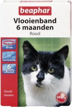 Kattenbenodigdheden -Kattenbenodigdheden 797x1200