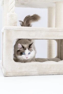 Petrebels Lodge 107 Krabpaal - Creme - Design - Zeer Stabiel -Kattenbenodigdheden 799x1200