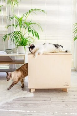 Catandwood Kattenhuis - Kattenbakcontainer - Kattenbak Ombouw - Hout -Kattenbenodigdheden 799x1200 7