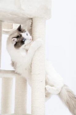 Petrebels Lodge 107 Krabpaal - Creme - Design - Zeer Stabiel -Kattenbenodigdheden 800x1200 10