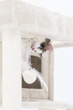 Petrebels Lodge 107 Krabpaal - Creme - Design - Zeer Stabiel -Kattenbenodigdheden 800x1200 11