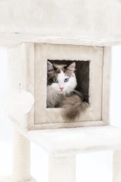 Petrebels Lodge 107 Krabpaal - Creme - Design - Zeer Stabiel -Kattenbenodigdheden 800x1200 12