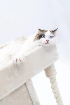 Petrebels Lodge 107 Krabpaal - Creme - Design - Zeer Stabiel -Kattenbenodigdheden 800x1200 13