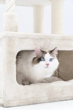 Petrebels Lodge 107 Krabpaal - Creme - Design - Zeer Stabiel -Kattenbenodigdheden 800x1200 14