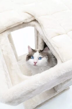 Petrebels Lodge 107 Krabpaal - Creme - Design - Zeer Stabiel -Kattenbenodigdheden 800x1200 15