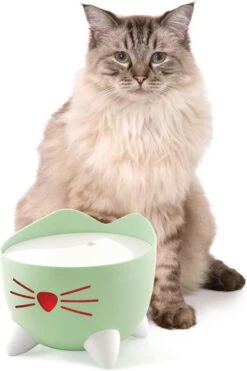 Catit Pixi Fountain - Kattendrinkbak - 20x20x16 Cm Groen -Kattenbenodigdheden 800x1200 21
