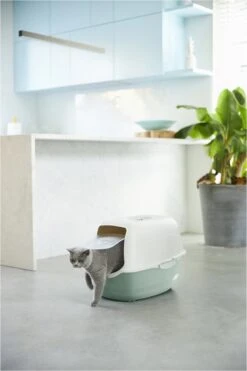 Rotho Bailey - Kattenbak - Groen/Zand 10 Rotho Bailey - Kattenbak - Groen/Zand -Kattenbenodigdheden 800x1200 24