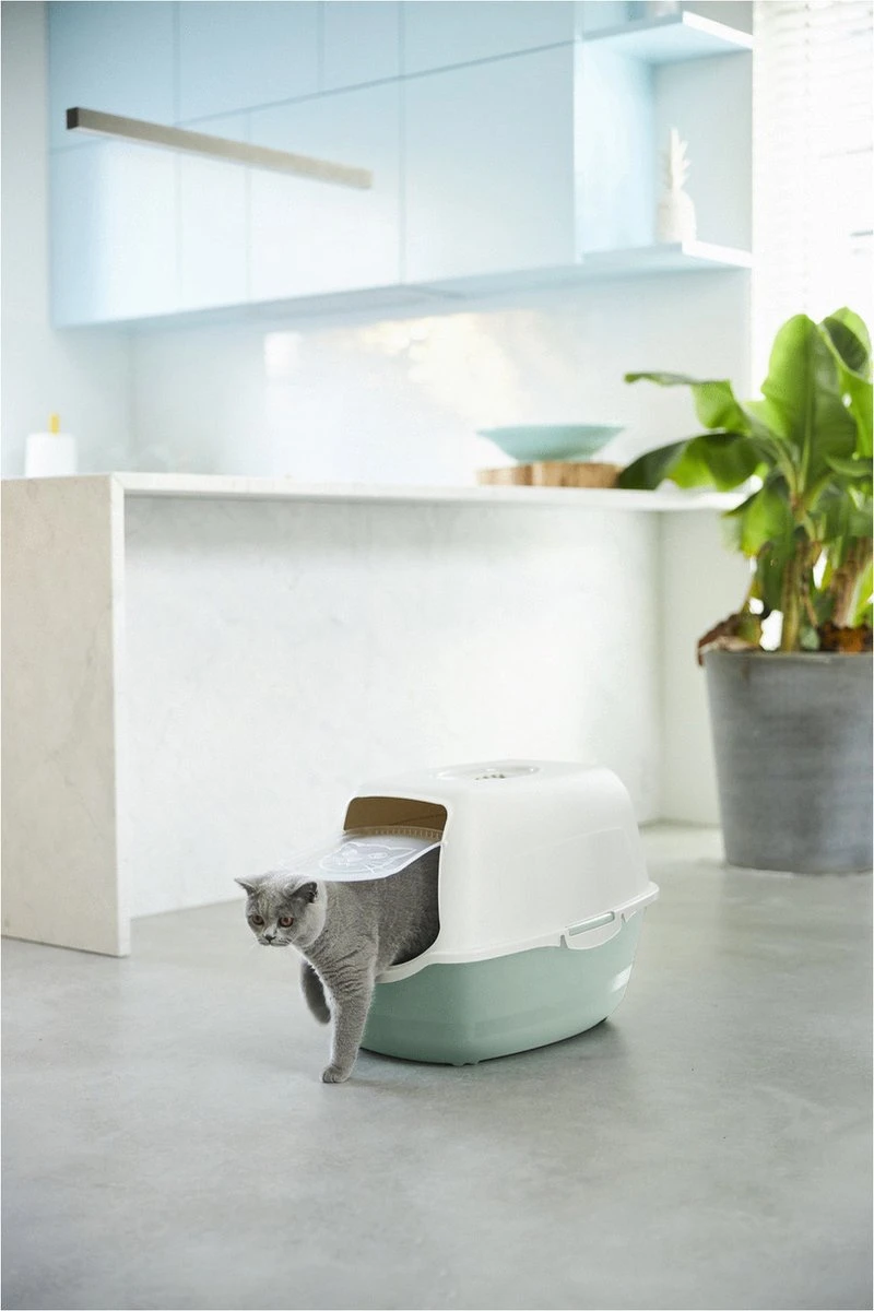 Rotho Bailey - Kattenbak - Groen/Zand 6 Rotho Bailey - Kattenbak - Groen/Zand - Afbeelding 4