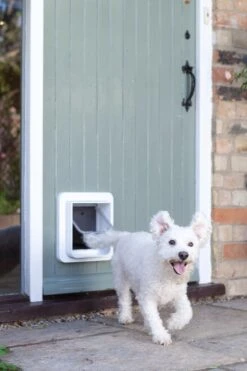 Sureflap Dierenluik Microchip S - Kattenluik - 20x20x7 Cm Wit -Kattenbenodigdheden 800x1200 25