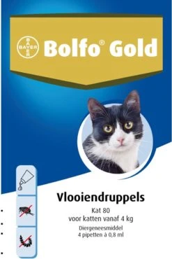 Bayer Bolfo Gold 80 Anti Vlooienmiddel - Kat - > 4 Kg - 4 Pipetten
