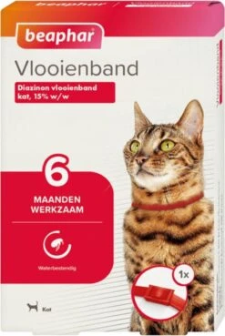 Beaphar Vlooienband Kat - Rood - 1 Stuk 18 Beaphar Vlooienband Kat - Rood - 1 Stuk -Kattenbenodigdheden 804x1200 1