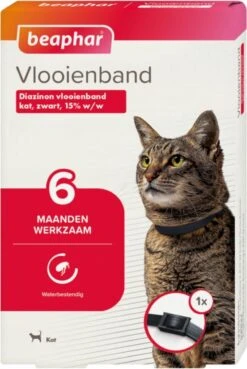 Beaphar Vlooienband Kat - Vlooienbestrijding - Zwart -Kattenbenodigdheden 804x1200