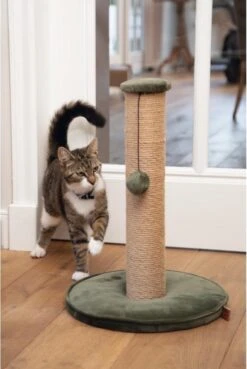 Designed By Lotte Yenna - Krabpaal - Groen - 35x35x50 Cm 11 Designed By Lotte Yenna - Krabpaal - Groen - 35x35x50 Cm -Kattenbenodigdheden 804x1200 8