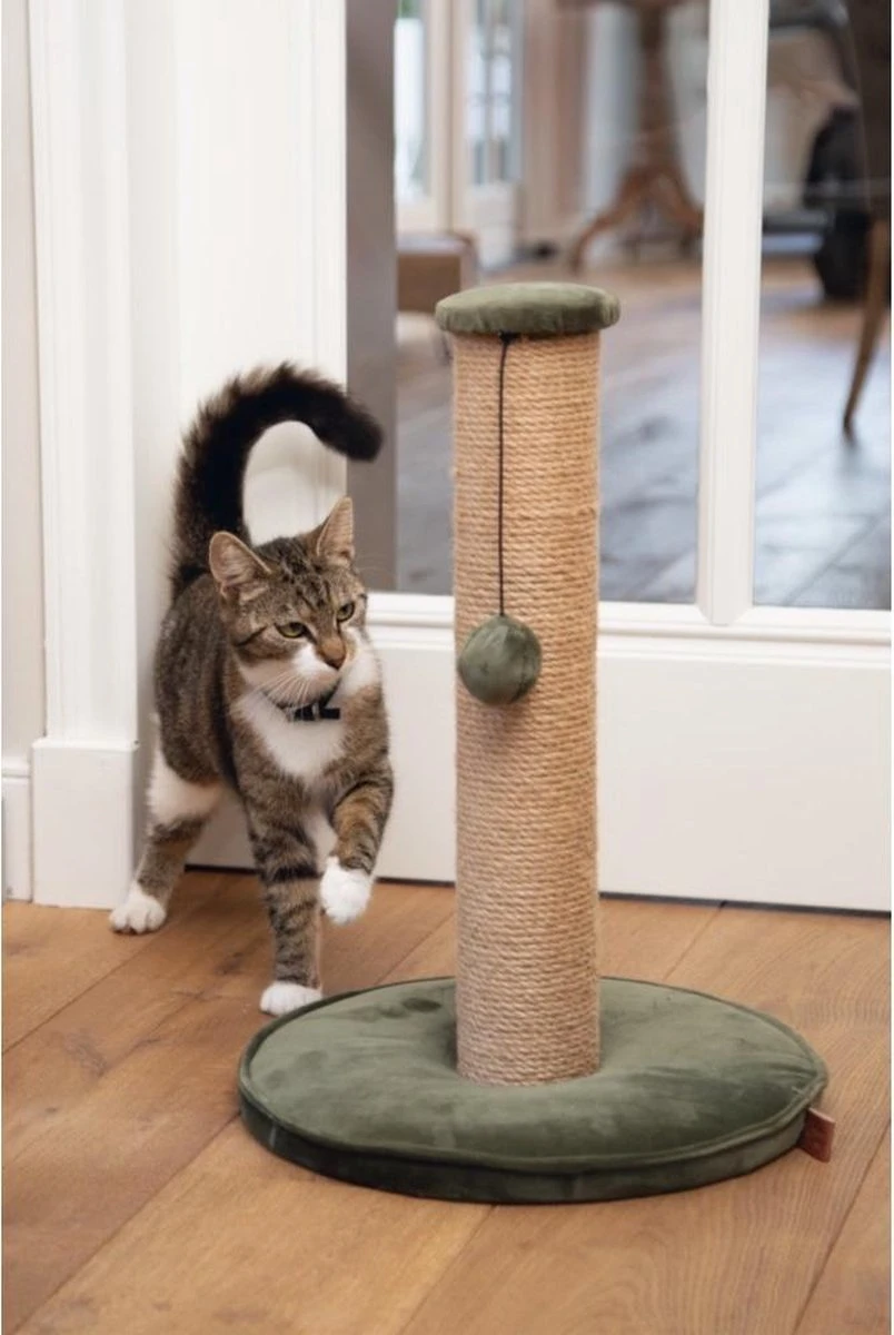 Designed By Lotte Yenna - Krabpaal - Groen - 35x35x50 Cm 6 Designed By Lotte Yenna - Krabpaal - Groen - 35x35x50 Cm - Afbeelding 4