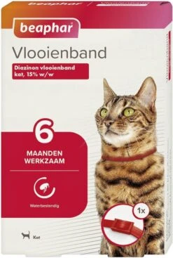Beaphar Vlooienband Kat - Rood - 1 Stuk 19 Beaphar Vlooienband Kat - Rood - 1 Stuk -Kattenbenodigdheden 807x1200 1